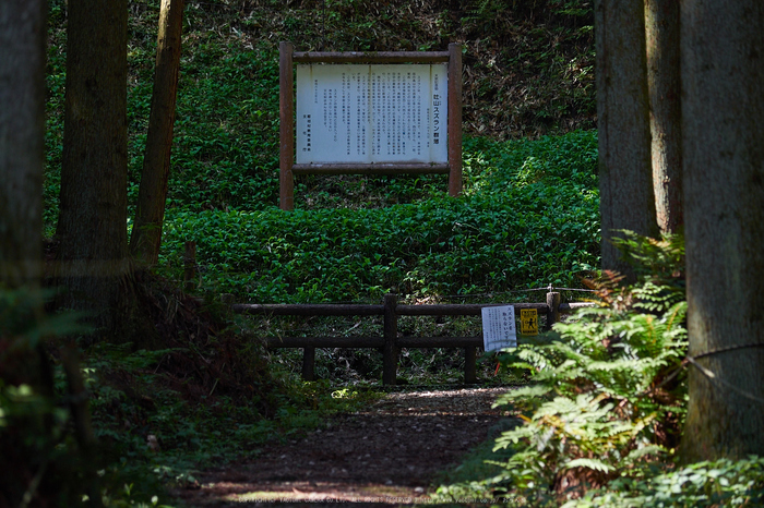 宇陀向淵,すずらん(EM180246,117 mm,F3.3)2016yaotomi_.jpg