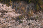 屏風岩公苑,桜(IMG_0130dpp,100 mm,F4,1-60 秒)2016yaotomi_.jpg