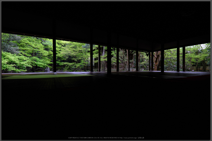 蓮華寺,新緑(DSCF0763,10-mm,F8)2016yaotomi_T.jpg