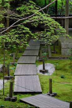 蓮華寺,新緑(DSCF0799,61 mm,F3.2)2016yaotomi.jpg