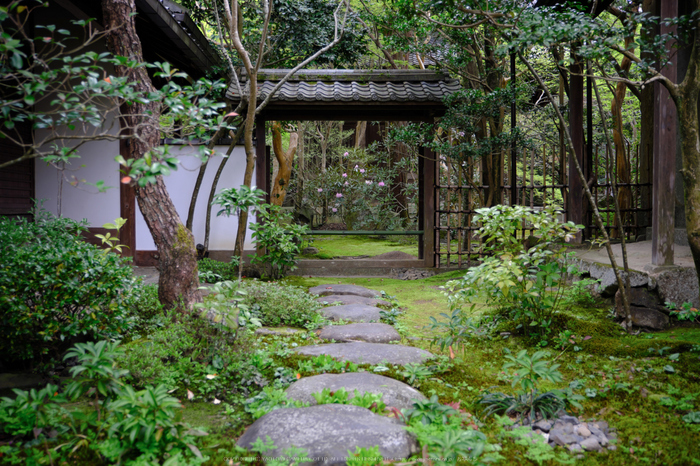 蓮華寺,新緑(DSCF0802,25 mm,F2.8)2016yaotomi.jpg