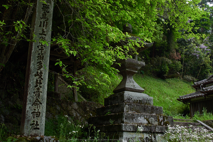 飛鳥川上坐宇須多伎比売命神社_EM170229,2.8,2016yaotomi.jpg