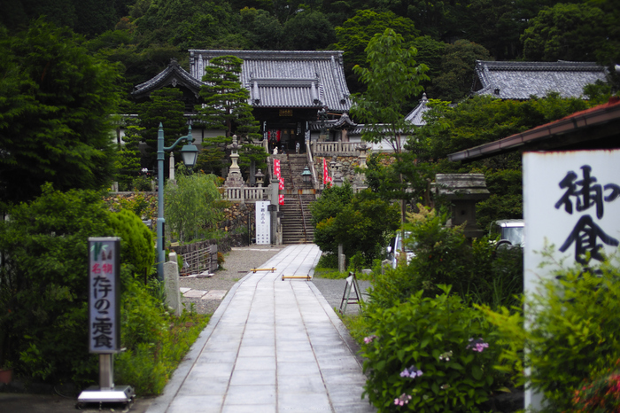 柳谷観音,アジサイ(P6151554rawFL,25 mm,iso200)2016yaotomi.jpg