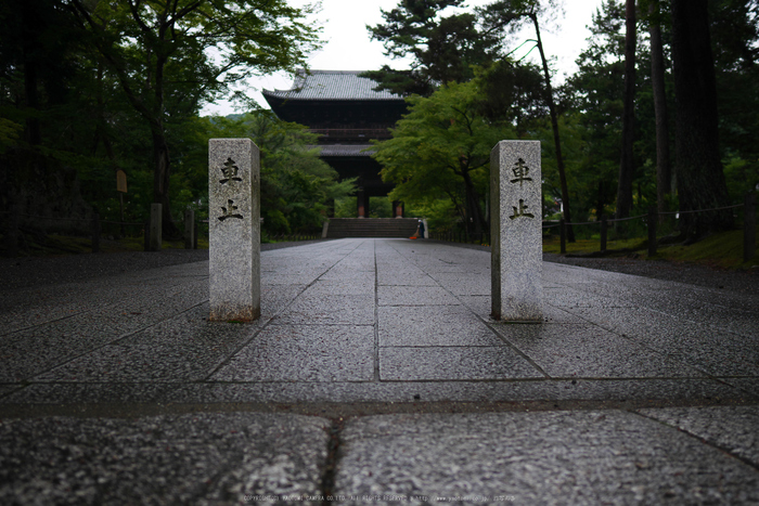 京都,南禅寺(P1010592(RAW),12 mm,F1.4,iso200)2016yaotomi.jpg