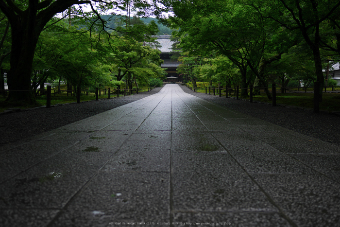 京都,南禅寺(P1010625(RAW),12 mm,F1.4,iso200)2016yaotomi.jpg