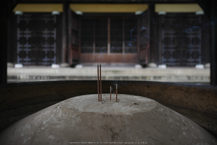 京都,南禅寺(P1010641(RAW),12 mm,F1.4,iso200)2016yaotomi.jpg