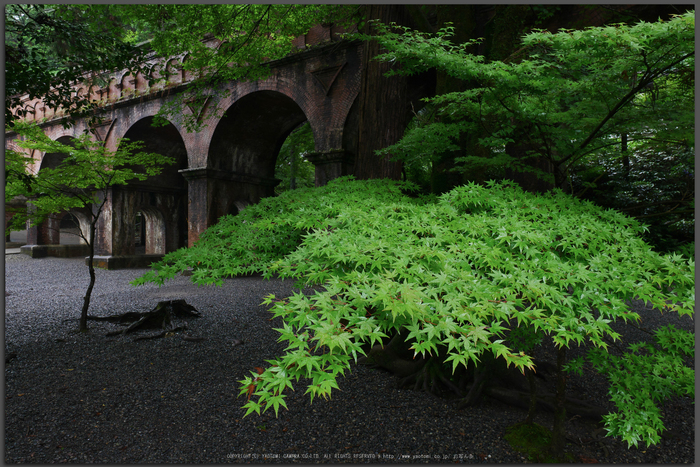 京都,南禅寺(P1010657(RAW),12-mm,F8,iso200)2016yaotomi_T.jpg