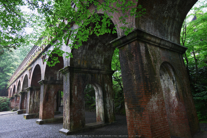 京都,南禅寺(P1010671(RAW),12 mm,F1.4,iso200)2016yaotomi.jpg