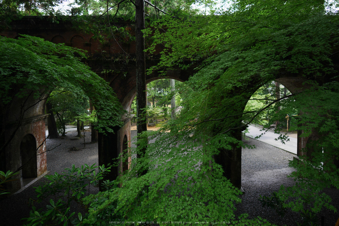 京都,南禅寺(P1010703(RAW),12 mm,F1.4,iso200)2016yaotomi.jpg