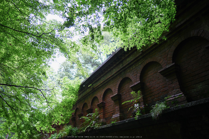 京都,南禅寺(P1010737(RAW),12 mm,F1.4,iso200)2016yaotomi.jpg