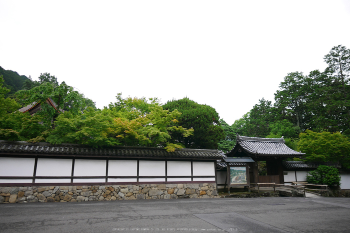 京都,天授庵(P1010769,12 mm,F1.4,iso200)2016yaotomi.jpg