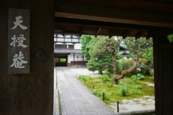 京都,天授庵(P1010772,12 mm,F1.4,iso200)2016yaotomi.jpg