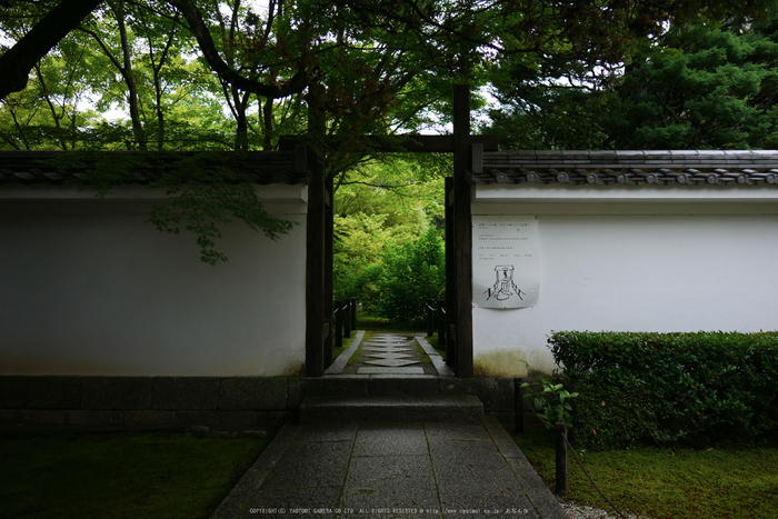 京都,天授庵(P1010782,12 mm,F1.4,iso200)2016yaotomi.jpg