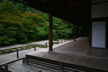 京都,天授庵(P1010794,12 mm,F1.4,iso200)2016yaotomi.jpg