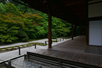 京都,天授庵(P1010797,12 mm,F8,iso200)2016yaotomi.jpg