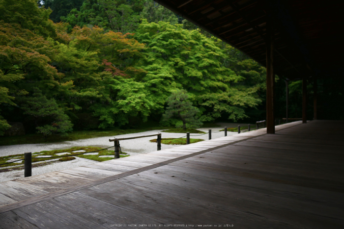 京都,天授庵(P1010803,12 mm,F1.4,iso200)2016yaotomi.jpg