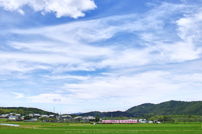 伊賀平野,伊賀鉄道(SDQ_0625,30 mm,F6.3,iso100)2016yaotomi_ 1.jpg