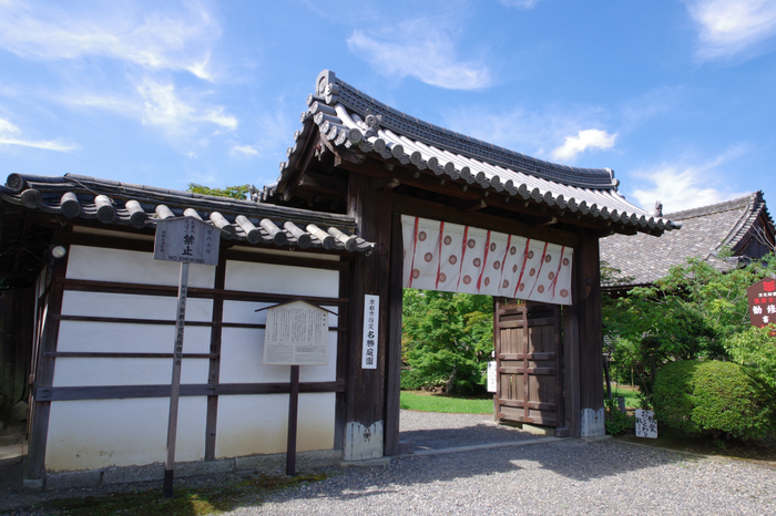 勧修寺,蓮(K70_0525,16 mm,F8,iso100)2016yaotomi.jpg