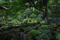 三千院,秋海棠(SDQ_2160FL,16 mm,F7.1)2016yaotomi.jpg