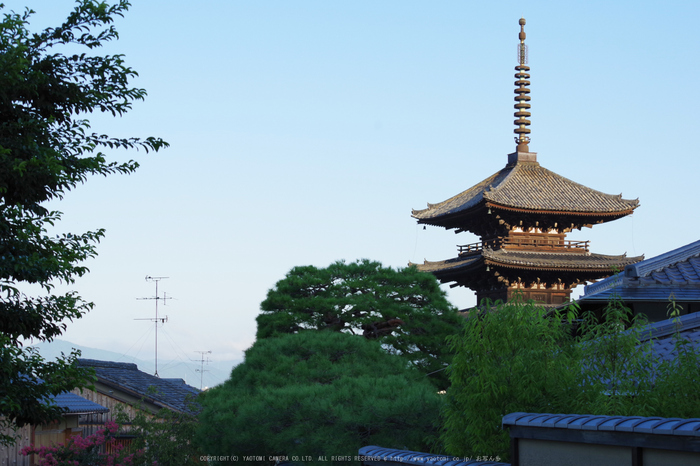 京都,東山(K70_0754,55 mm,F8,iso400)2016yaotomi.jpg