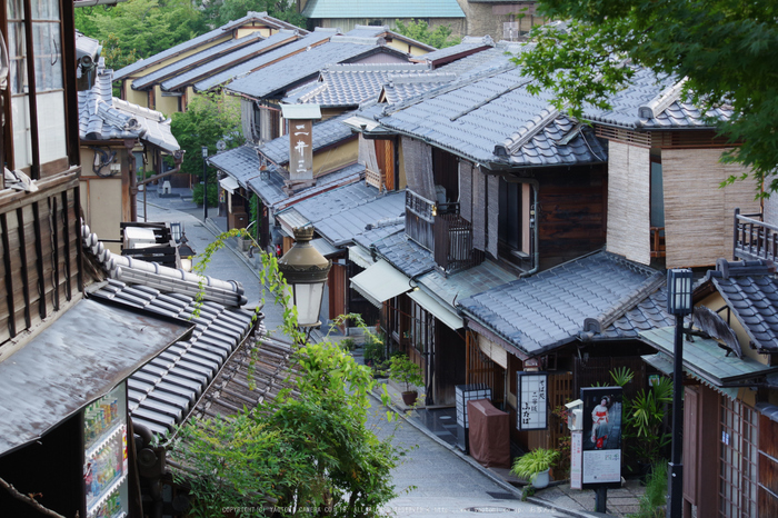 京都,東山(K70_0759,55 mm,F8,iso400)2016yaotomi.jpg