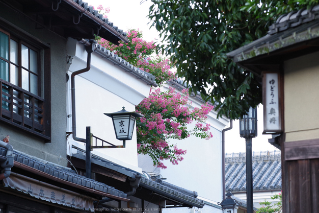 京都,東山(K70_0768,98 mm,F7.1,iso400)2016yaotomi.jpg