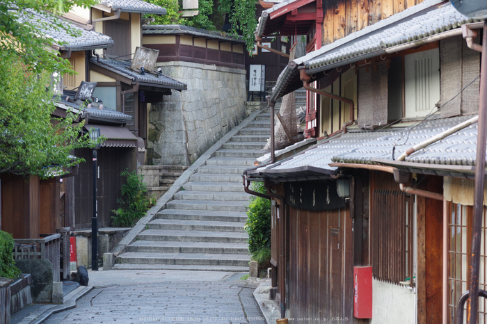 京都,東山(K70_0784,88 mm,F6.3,iso400)2016yaotomi.jpg