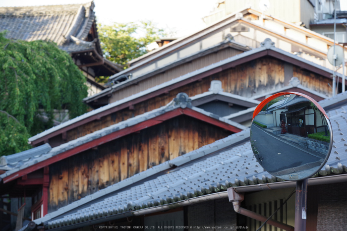 京都,東山(K70_0785,88 mm,F6.3,iso400)2016yaotomi.jpg