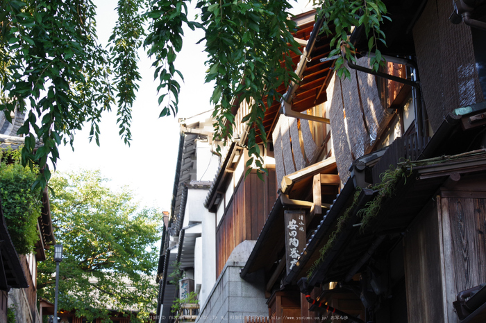 京都,東山(K70_0793,63 mm,F8,iso400)2016yaotomi.jpg