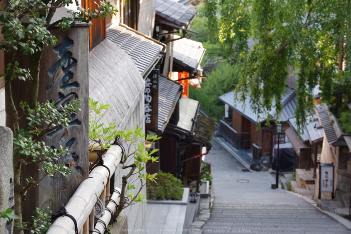 京都,東山(K70_0799,55 mm,F8,iso400)2016yaotomi.jpg