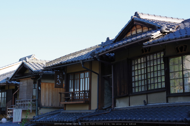 京都,東山(K70_0810,55 mm,F8,iso400)2016yaotomi.jpg