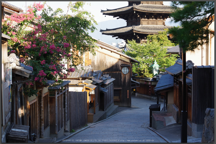 京都,東山(K70_0814,55-mm,F8,iso400)2016yaotomi_T.jpg