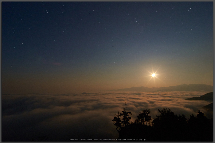 大台ヶ原,月夜,雲海(K32_8934,12-mm,F7.1)2016yaotomi_T.jpg