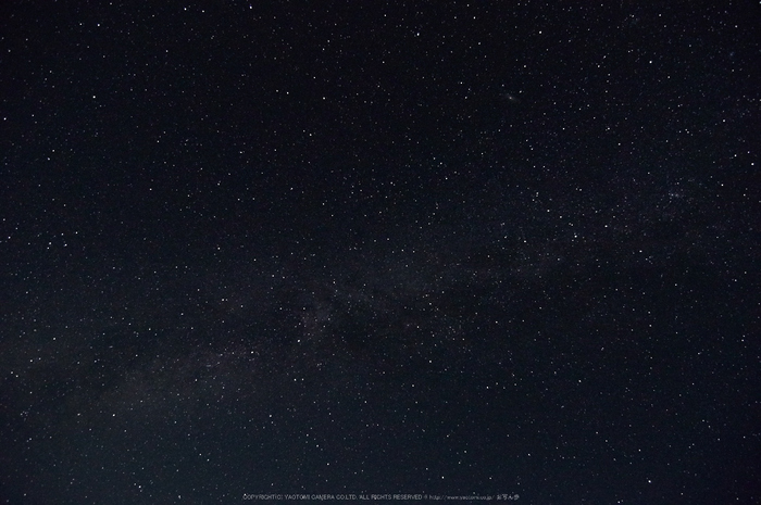 大台ヶ原,月夜,雲海(K32_9023,12 mm,F4.5)2016yaotomi.jpg