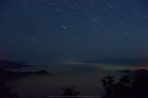 大台ヶ原,月夜,雲海(K32_9029,12 mm,F5)2016yaotomi.jpg