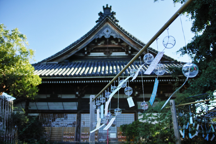 おふさ観音,風鈴まつり(SDQ_2539,18 mm,F1.8)2016yaotomi.jpg