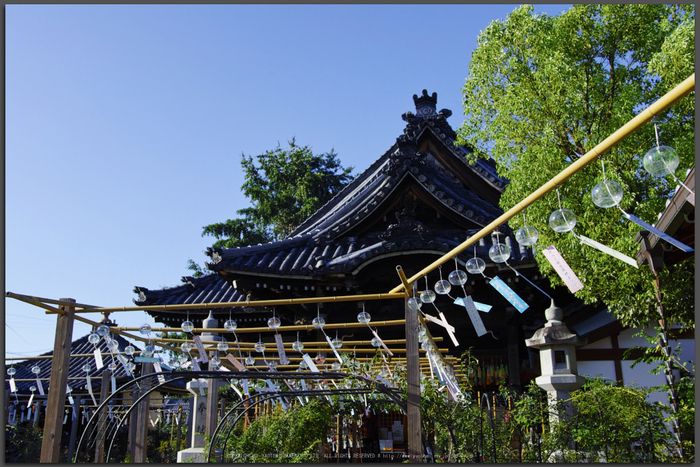 おふさ観音,風鈴まつり(SDQ_2621,24-mm,F5)2016yaotomi_T.jpg