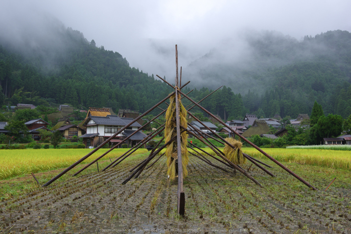 京都美山,蕎麦_K70_1613,24 mm,F8_2016yaotomi.jpg