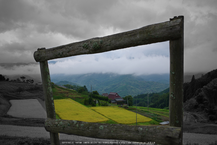 室生,深野(K70_1193_2,28 mm,F8,iso100)2016yaotomi.jpg