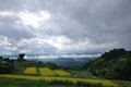 室生,深野(K70_1266FL,16 mm,F8,iso100)2016yaotomi.jpg