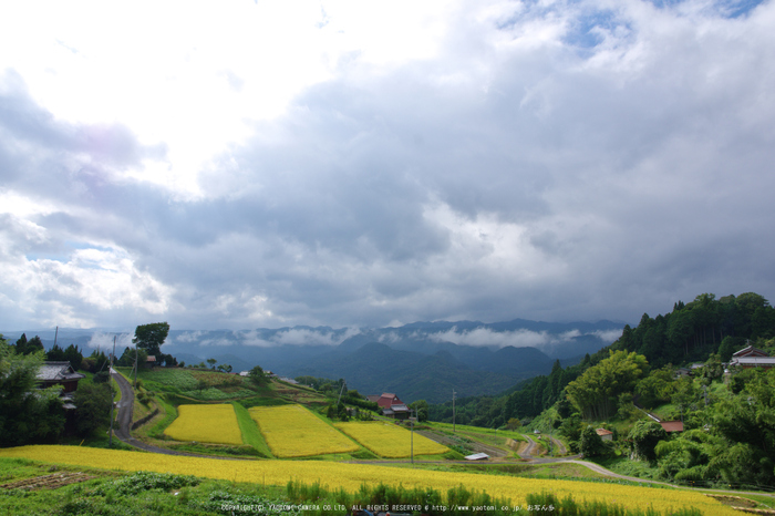 室生,深野(K70_1286,16 mm,F8,iso100)2016yaotomi.jpg