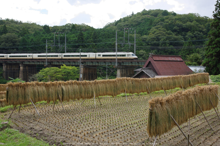 室生三本松(K70_1348,26 mm,F8,iso400)2016yaotomi.jpg