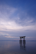 高島,白鬚神社(PK1_0274FL,24 mm,F8,iso100)2016yaotomi.jpg