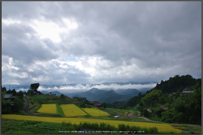 お写ん歩: HD PENTAX-DA 16-85mm F3.5-5.6ED DC WRアーカイブ