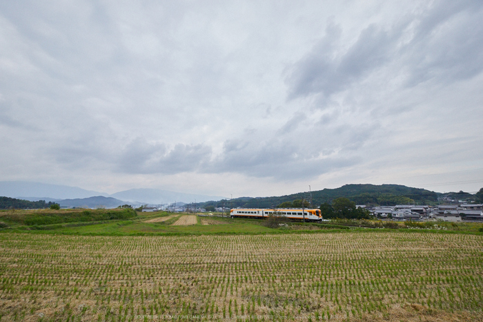 吉野線,秋_2K0A5187,13 mm,F7.1,iso3200_2016yaotomi 1.jpg