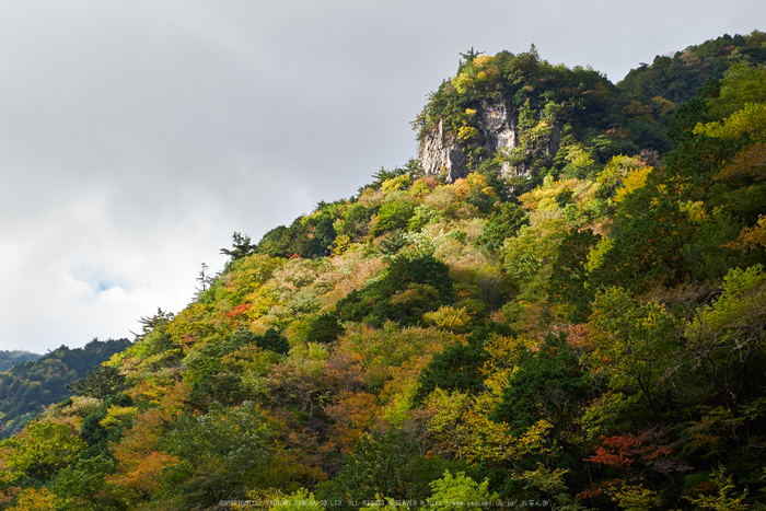 天川,みたらい渓谷(PK1_2671,45 mm,F7.1)2016yaotomi_.jpg