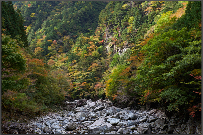 天川,みたらい渓谷(PK1_2673,48-mm,F7.1)2016yaotomi_T.jpg