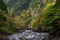 天川,みたらい渓谷(PK1_2673FL,48 mm,F7.1)2016yaotomi_.jpg