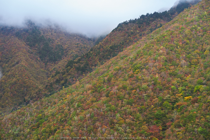 天川,大峰弥山(PK1_2721,70 mm,F5.6)2016yaotomi_.jpg