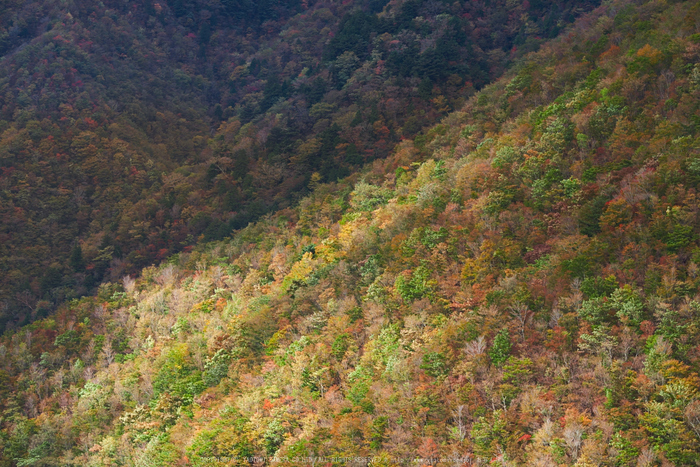 天川,大峰弥山(PK1_2730,130 mm,F6.3)2016yaotomi_.jpg